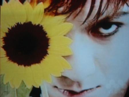 THE YELLOW MONKEYが好きな人!!