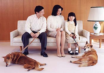 雑種の犬(ミックス犬)を飼ってる人、飼ってた人