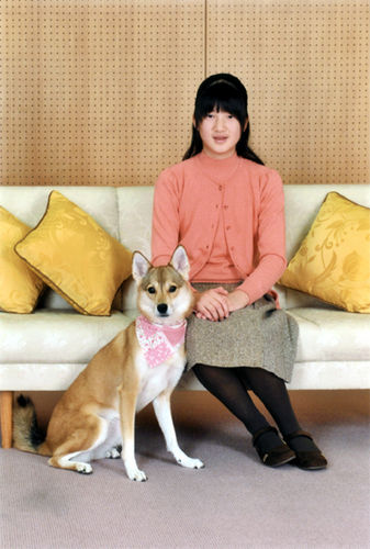 雑種の犬(ミックス犬)を飼ってる人、飼ってた人