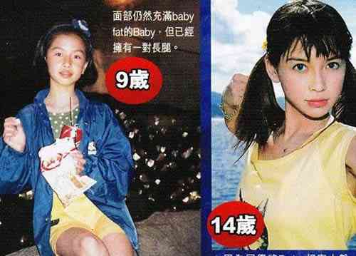 整形し過ぎたと思う有名人