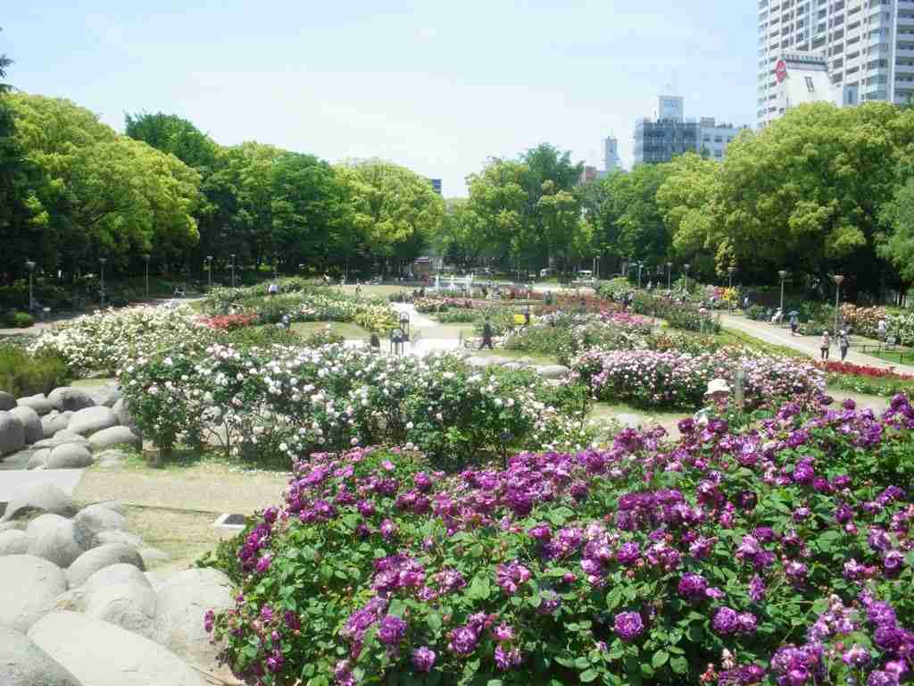 大阪のおすすめ!