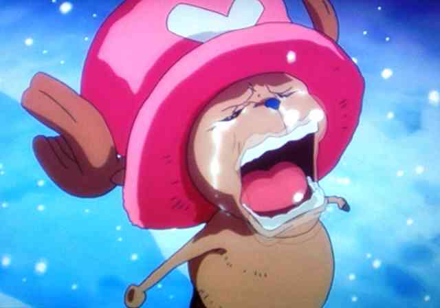 「ONE PIECE」の好きなキャラクター