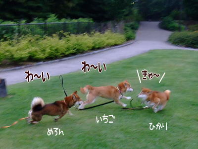 ネット見て後悔したこと