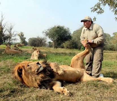 動物園で惨劇。ライオンの檻に30代男性が自ら飛び込む。(南ア)