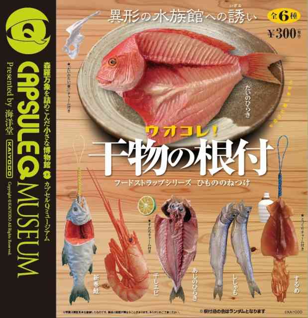変なものが好きな人