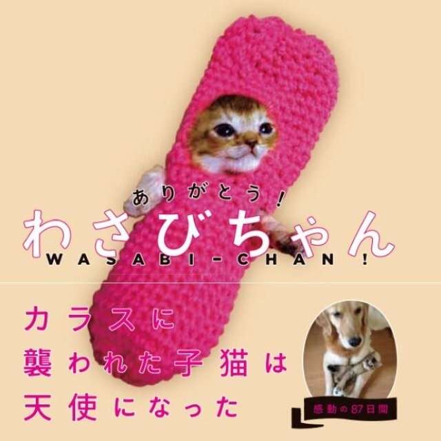 泣ける映画や本 話を教えて