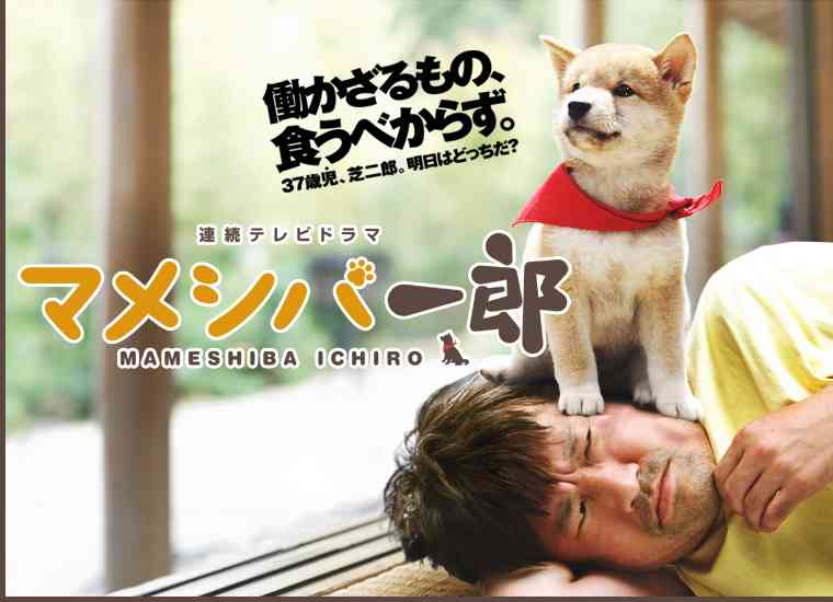 あなたの愛犬の犬種は何ですか?なぜその犬種にしましたか?