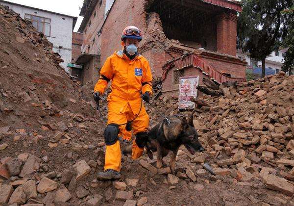 【ネパール大地震】日本の捜索犬、疲労で点滴受け活動