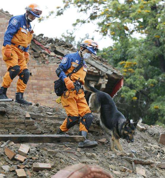 【ネパール大地震】日本の捜索犬、疲労で点滴受け活動
