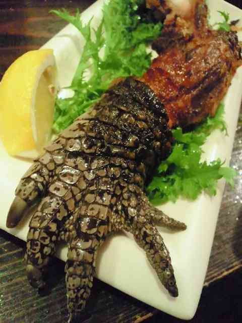 衝撃度が高い画像だけが集まるトピ