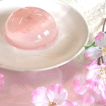 ❁花モチーフの食べ物❁