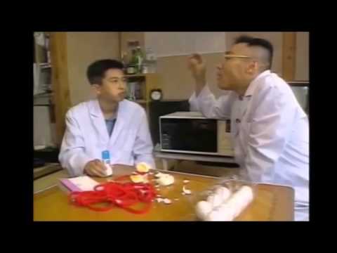 探偵！ナイトスクープ　昔の名作 爆発卵 - YouTube