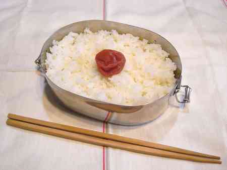 節約弁当