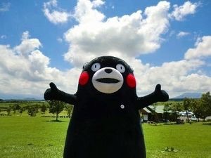 くまモンのファンいてる？