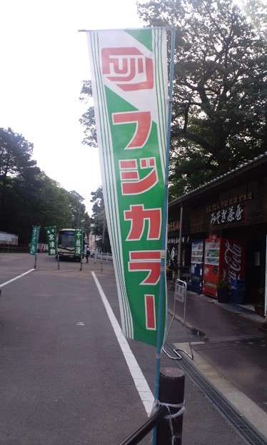 少しひなびた観光地あるある