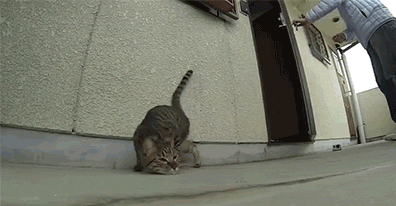 YouTubeで笑えるもの教えてください
