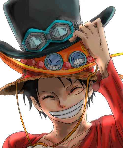 「ONE PIECE」の好きなキャラクター