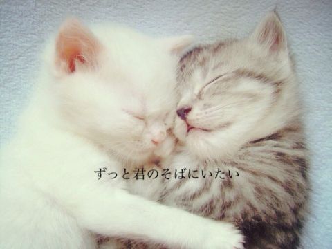 最高にウザいと思う、他人の○○自慢1位は…