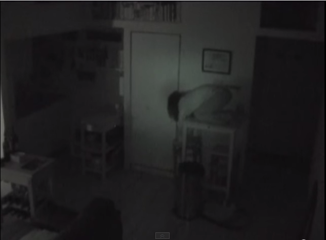 【怖ッ】部屋にカメラを設置したら、知らない女性が映っていた…