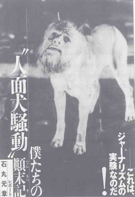 佐藤健が馬になって野を駆ける!カップヌードルのCMがカオスすぎる