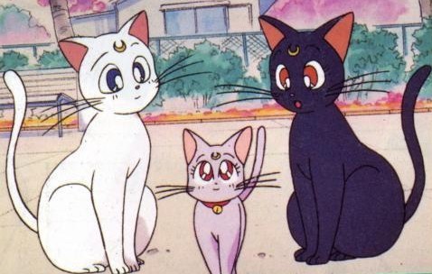 「セーラームーン」誰が好きでしたか?
