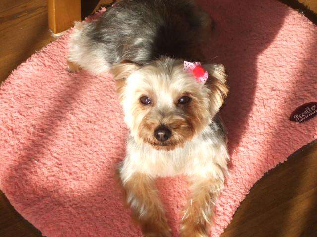 その時歴史が動いた。天英院｜生誕半世紀からの存在証明