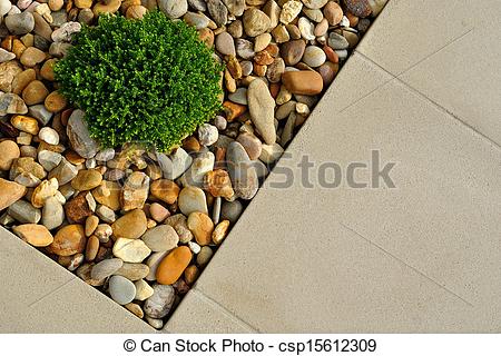 【閲覧注意】豆腐を毎日食べていた中国の男性、腎臓に420個もの結石が見つかる