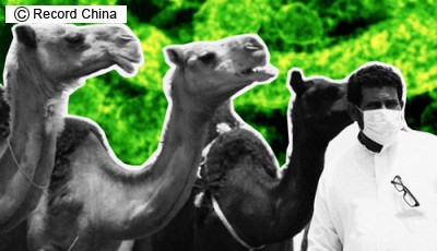 地獄になりつつあるのか、韓国‥‥‥‥・？ 　《転載可》 - BBの覚醒記録。無知から来る親中親韓から離脱、日本人としての目覚めの記録。