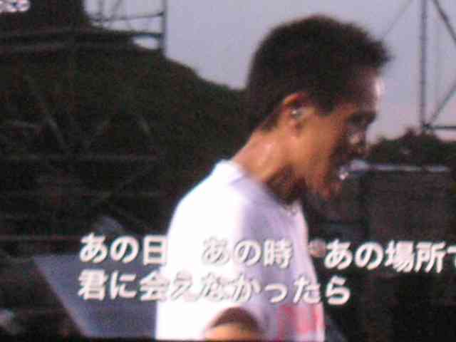 社会人になってから今の旦那さん･彼氏と出会った方、どこで出会いましたか？