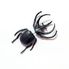 街の視線を一気にあつめる！ リアルすぎるカブトムシピアスに驚愕の画像