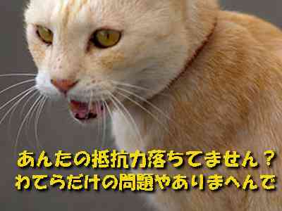 目覚めると左目が失明していた女性、原因は猫の唾液？