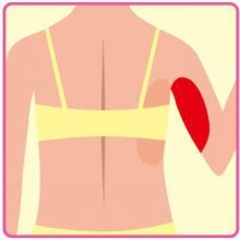 薄着の季節、一番気になるお肉はどこですか？
