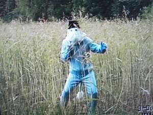 『水曜どうでしょう』好きな人