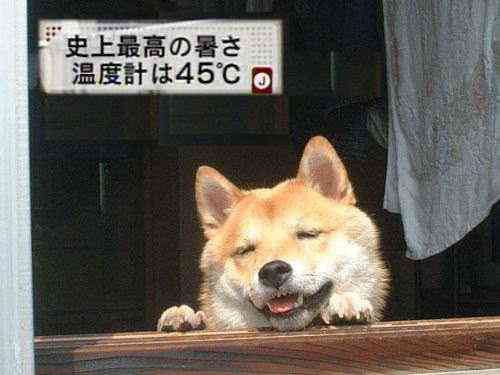 息を吐くようにボケるトピ