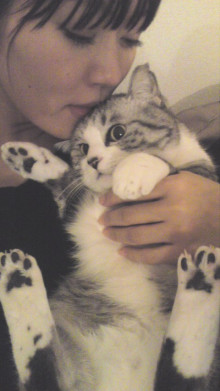 どんな種類の猫飼いたいですか?