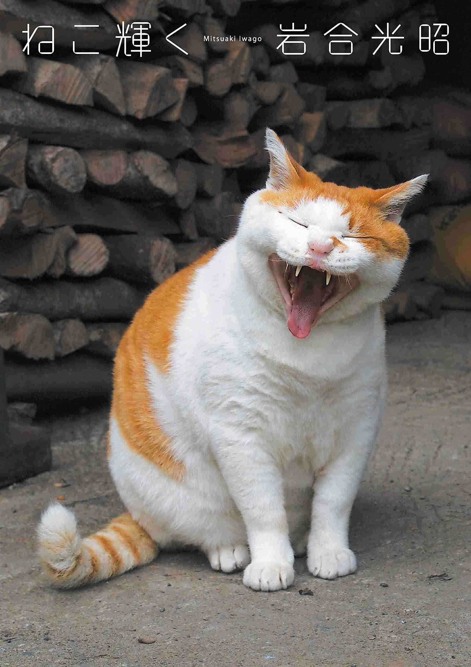 あくびしている動物の写真