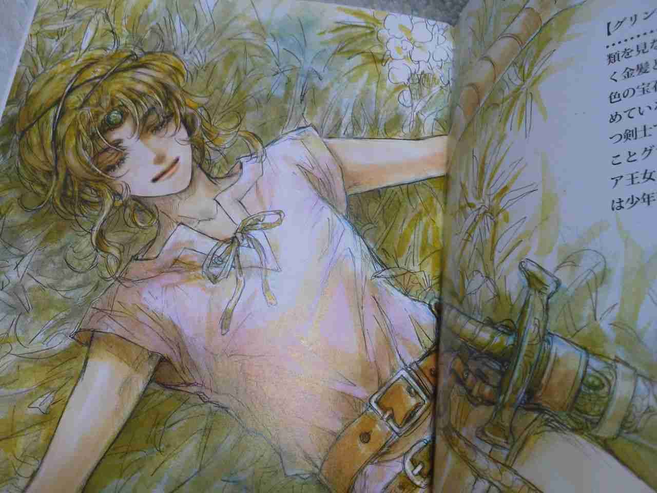 アニメ製作、または続編を待っている作品