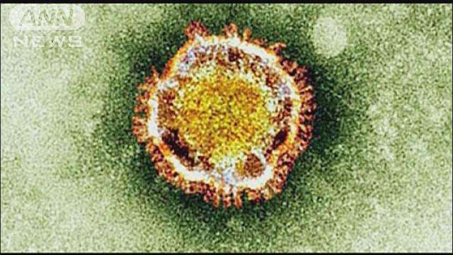 韓国でMERS感染18人　外務省が渡航注意情報も