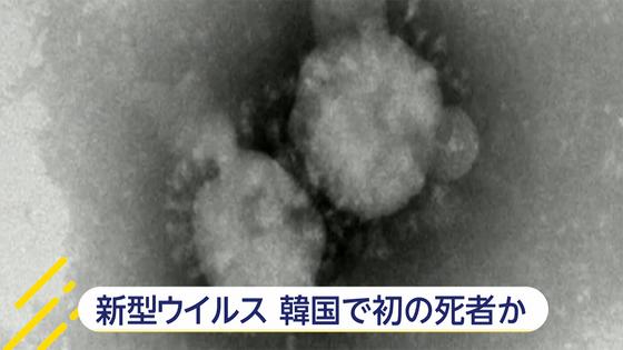 MERS(中東呼吸器症候群) 韓国で初の死者、三次感染者確認。外務省が渡航注意情報も