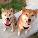 Zero &amp; Mika (@zero.mika) • Instagram photos and videos