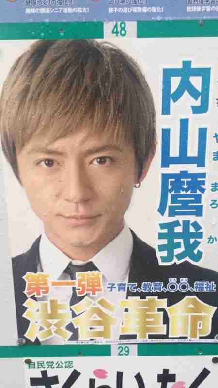 政治家になって欲しい芸能人は誰？