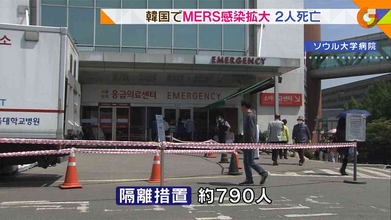 新型ウイルス「MERS」　韓国で約790人が隔離措置(15/06/02) - YouTube