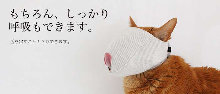 大人気で全カラー＆全サイズ売り切れ！ネコ専用「もふもふマスク」の破壊力がスゴいと話題に