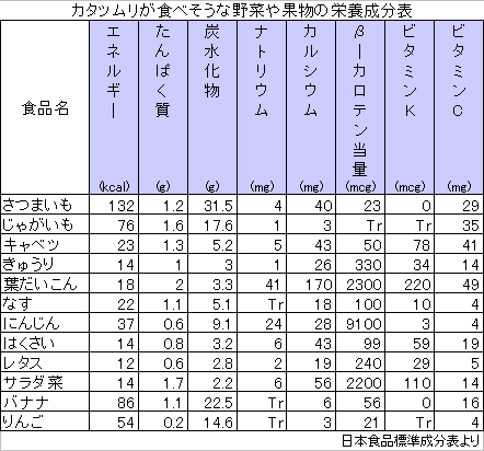 「きゅうり」の真実…世界一栄養がないとして不名誉なギネス認定