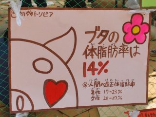体脂肪率の減らし方