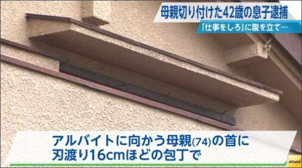 母親を包丁で切りつけた男逮捕「仕事しろと言われ頭にきた」