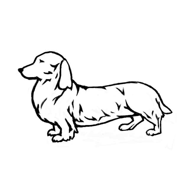 ペットの似顔絵を貼るトピ