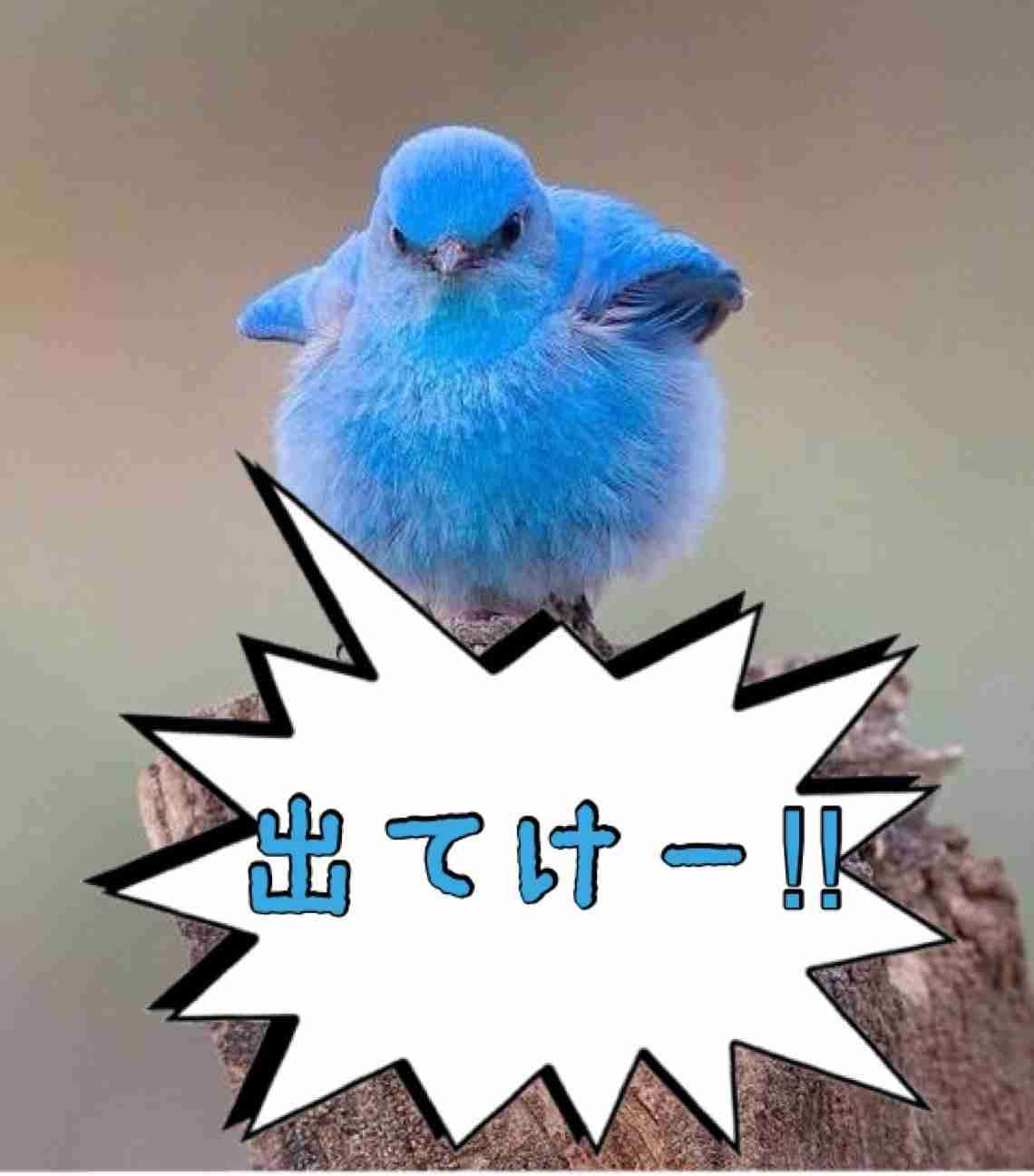 どうでもいいことをDAIGO語で言ってみるトピ