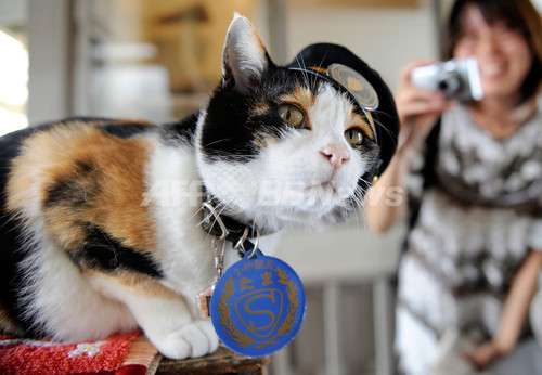 和歌山電鉄の名物三毛猫「たま駅長」が心不全で死去…16歳