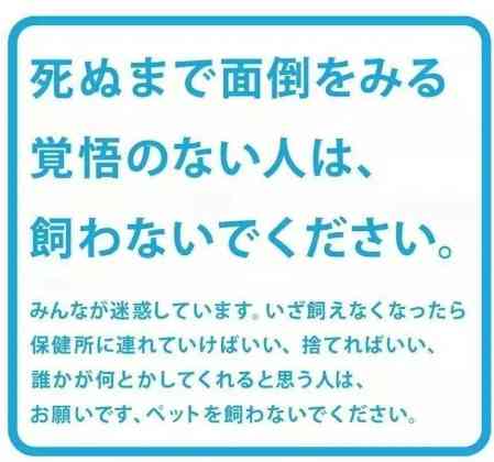 どんな種類の猫飼いたいですか?